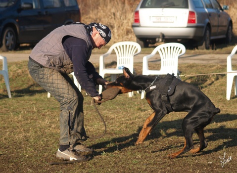 The christmas training 27.12.2006